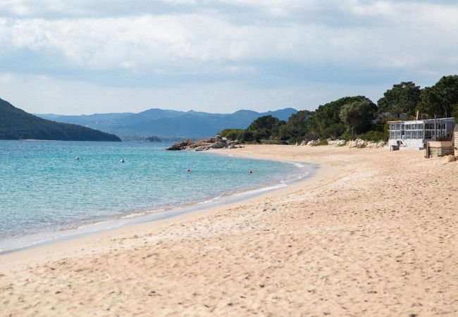 Studio in Lecci -  Studio premium n°18 Studio in Lecci -  Studio premium n°18