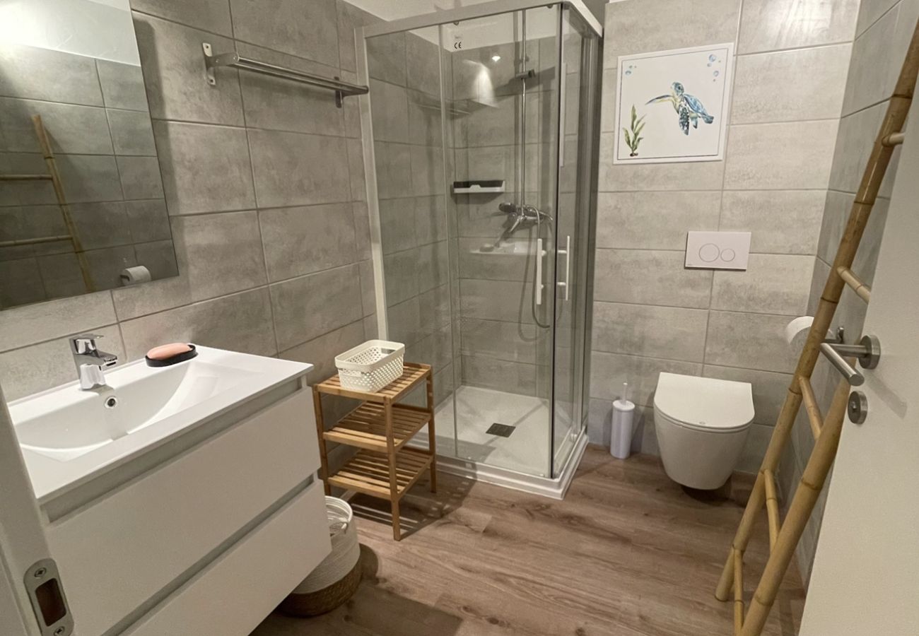 Apartment in Lecci -  T4 duplex 9 personnes N°67
