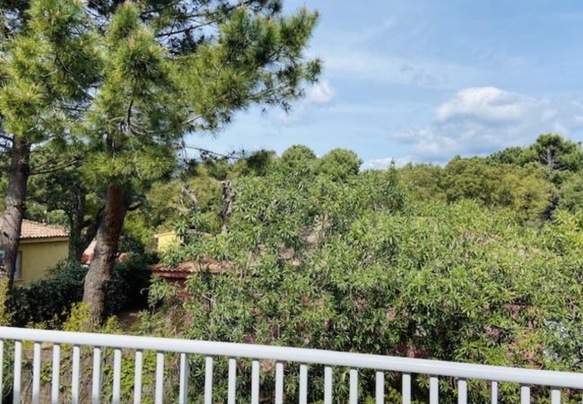 Studio in Lecci -  Studio étage n°10  Studio in Lecci -  Studio étage n°10