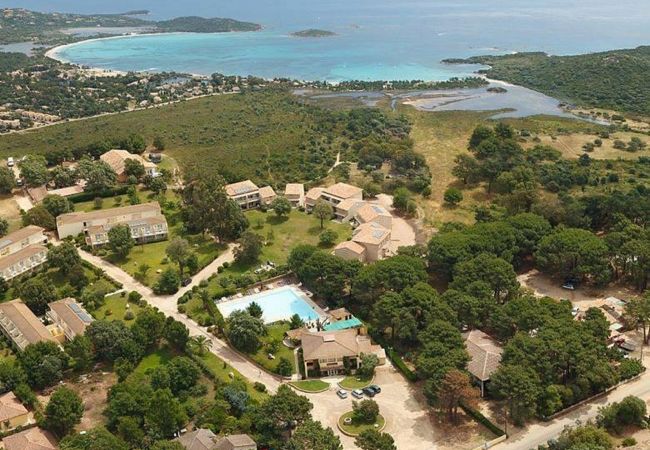 Villa a Lecci -  Villa CASA DI SOGNU 12 PERSONNES Villa a Lecci -  Villa CASA DI SOGNU 12 PERSONNES