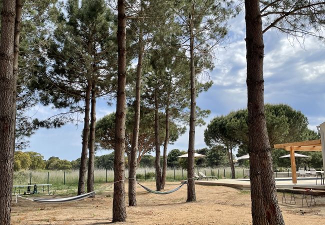 Villa a Lecci -  Villa CASA DI SOGNU 12 PERSONNES Villa a Lecci -  Villa CASA DI SOGNU 12 PERSONNES