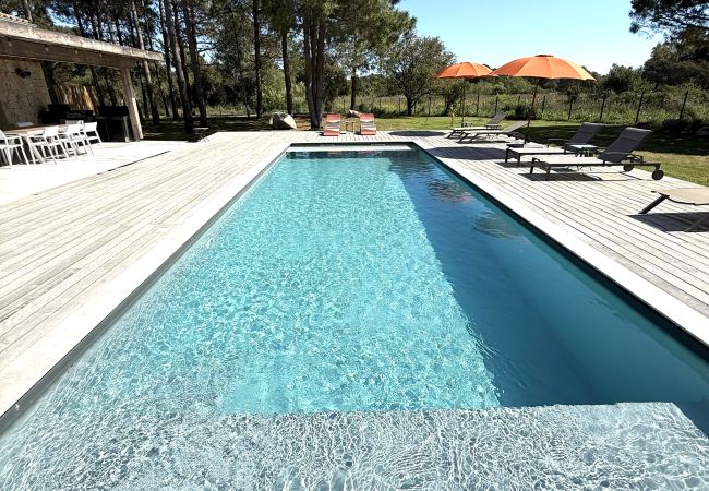 Villa a Lecci -  Villa CASA DI SOGNU 12 PERSONNES Villa a Lecci -  Villa CASA DI SOGNU 12 PERSONNES