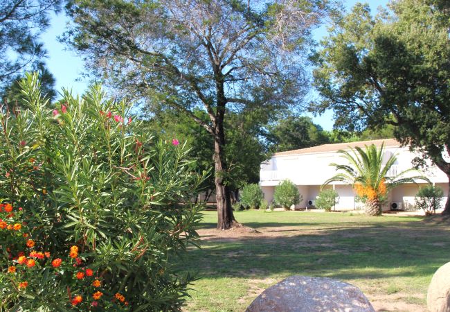 Studio a Lecci -  Studio premium N°46 Studio a Lecci -  Studio premium N°46
