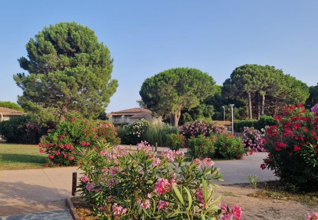 Appartamento a Lecci -  T3 6 Personnes n°23 Appartamento a Lecci -  T3 6 Personnes n°23