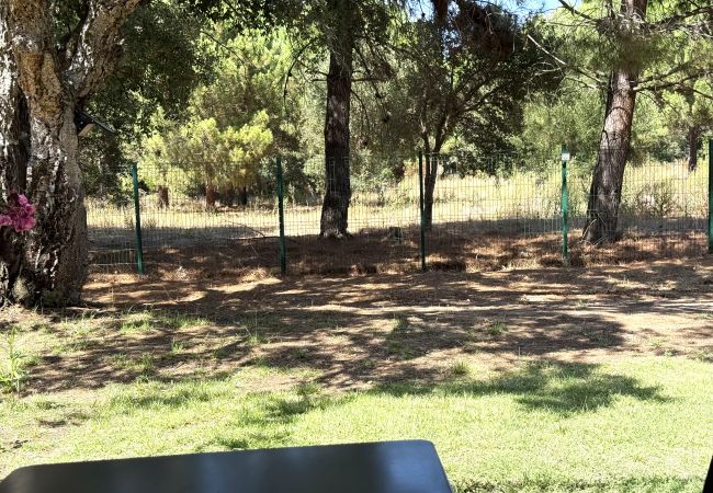 Appartamento a Lecci -  T3 6 Personnes n°23 Appartamento a Lecci -  T3 6 Personnes n°23