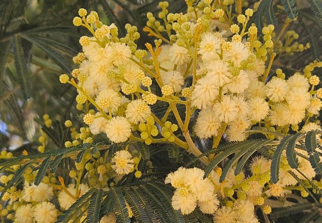 Appartamento a Lecci -  T3 6 Personnes n°32 Appartamento a Lecci -  T3 6 Personnes n°32