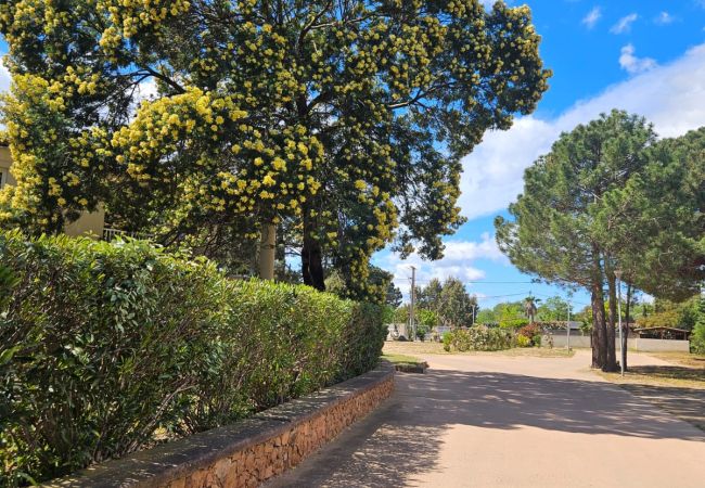 Appartamento a Lecci -  T3 6 Personnes n°32 Appartamento a Lecci -  T3 6 Personnes n°32