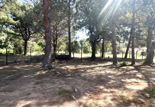 Appartamento a Lecci - T3 6 personnes N°21 Appartamento a Lecci - T3 6 personnes N°21