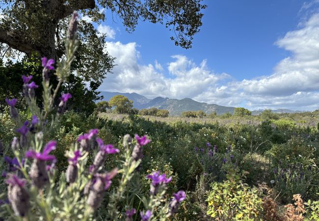 Appartamento a Lecci - T3 Duplex 6 Personnes N°37 Appartamento a Lecci - T3 Duplex 6 Personnes N°37