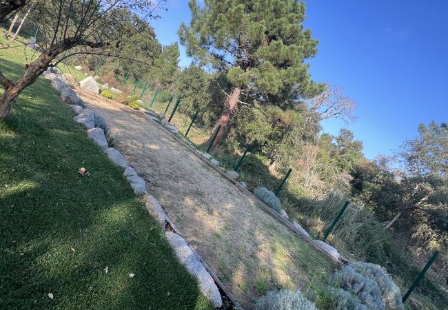 Villa a Lecci -  Villa PINETA 4 Personnes Villa a Lecci -  Villa PINETA 4 Personnes