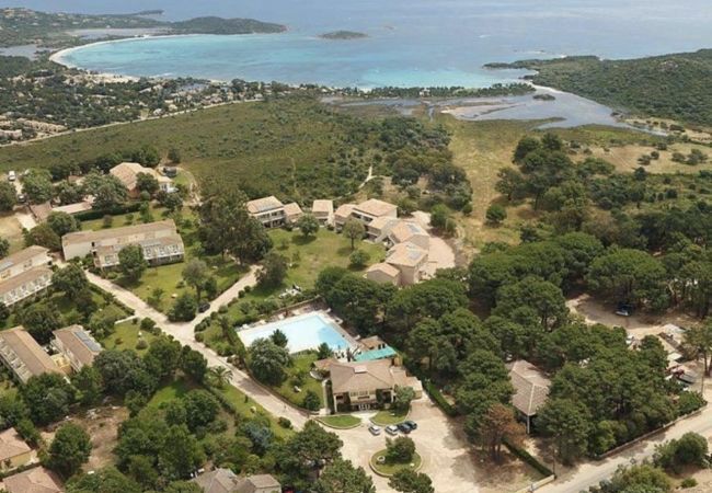 Appartamento a Lecci -  T2  Premium N°73-4 personnes Appartamento a Lecci -  T2  Premium N°73-4 personnes