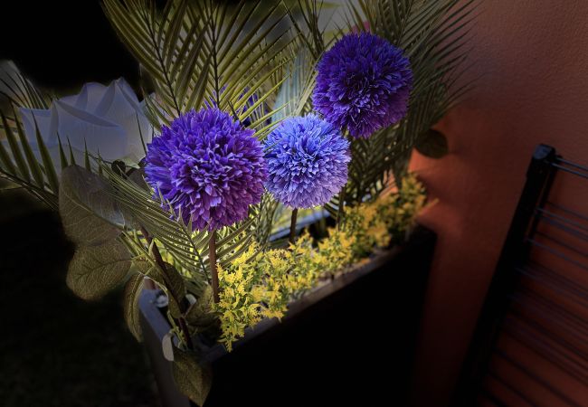 Appartamento a Lecci - T2 2/4 Personnes N°111 Appartamento a Lecci - T2 2/4 Personnes N°111