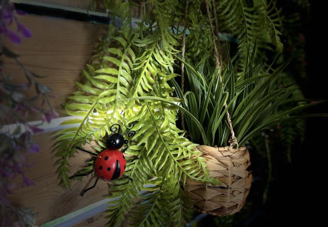 Appartamento a Lecci - T2 2/4 Personnes N°111 Appartamento a Lecci - T2 2/4 Personnes N°111