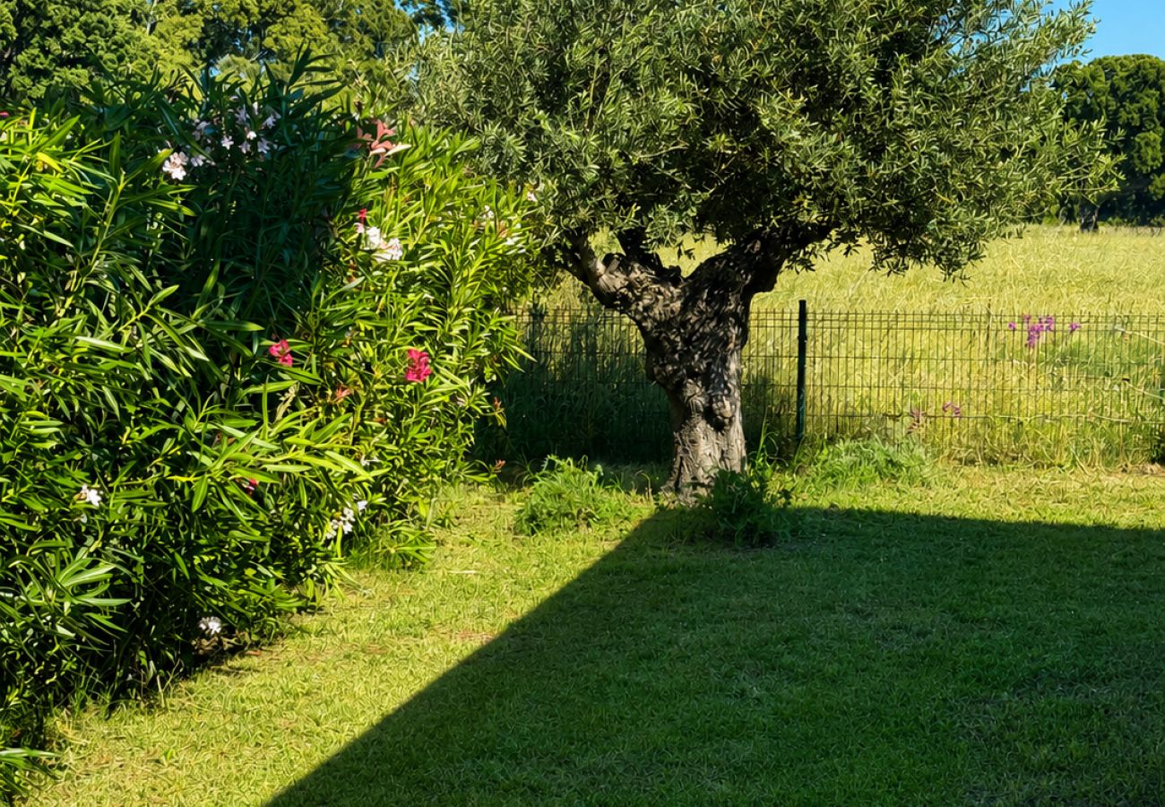 Villa à Lecci -  VILLA ISULA BELLA 8 personnes